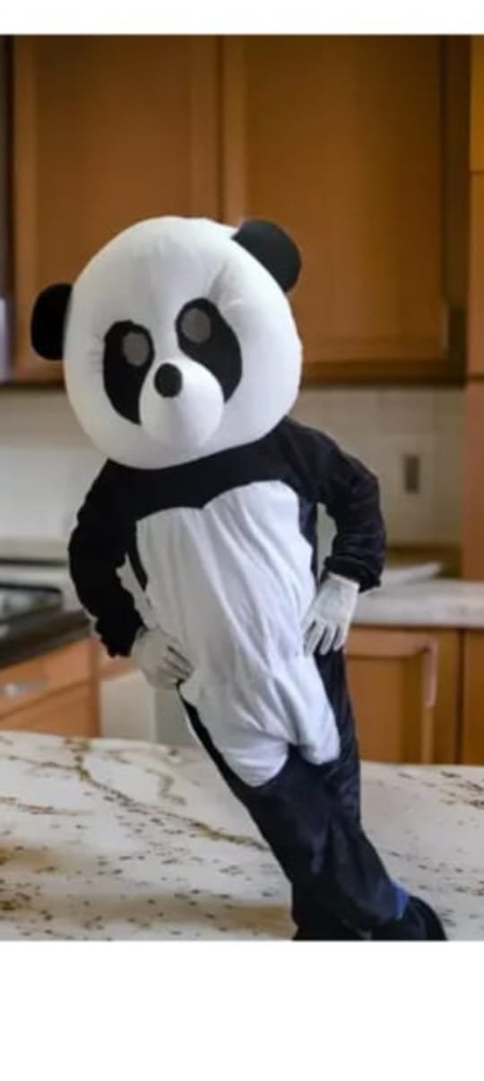 Panda Mascot Costume